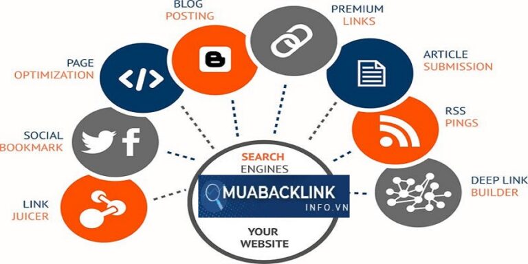 Dịch Vụ SEO Backlink Bến Tre